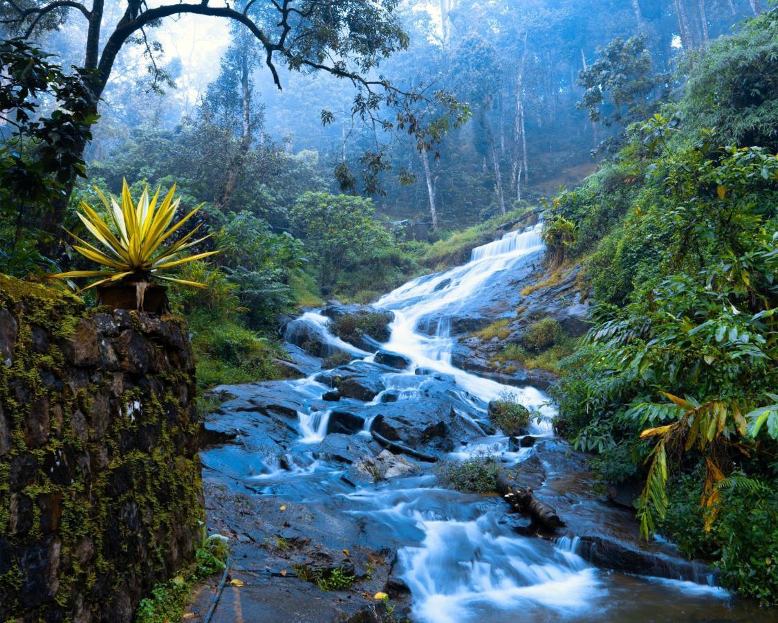 Falling Waters Munnar Kültér fotó