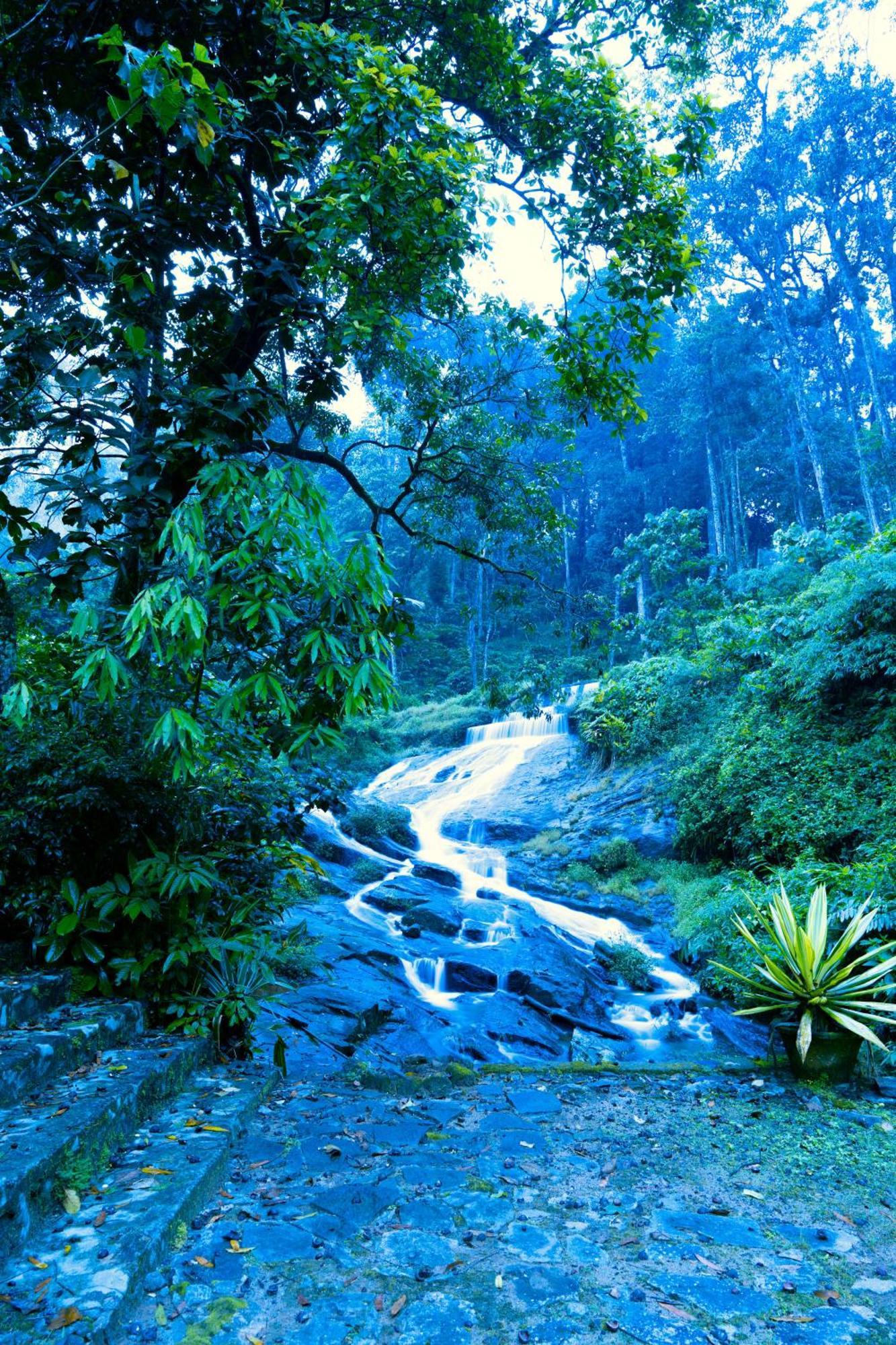 Falling Waters Munnar Kültér fotó