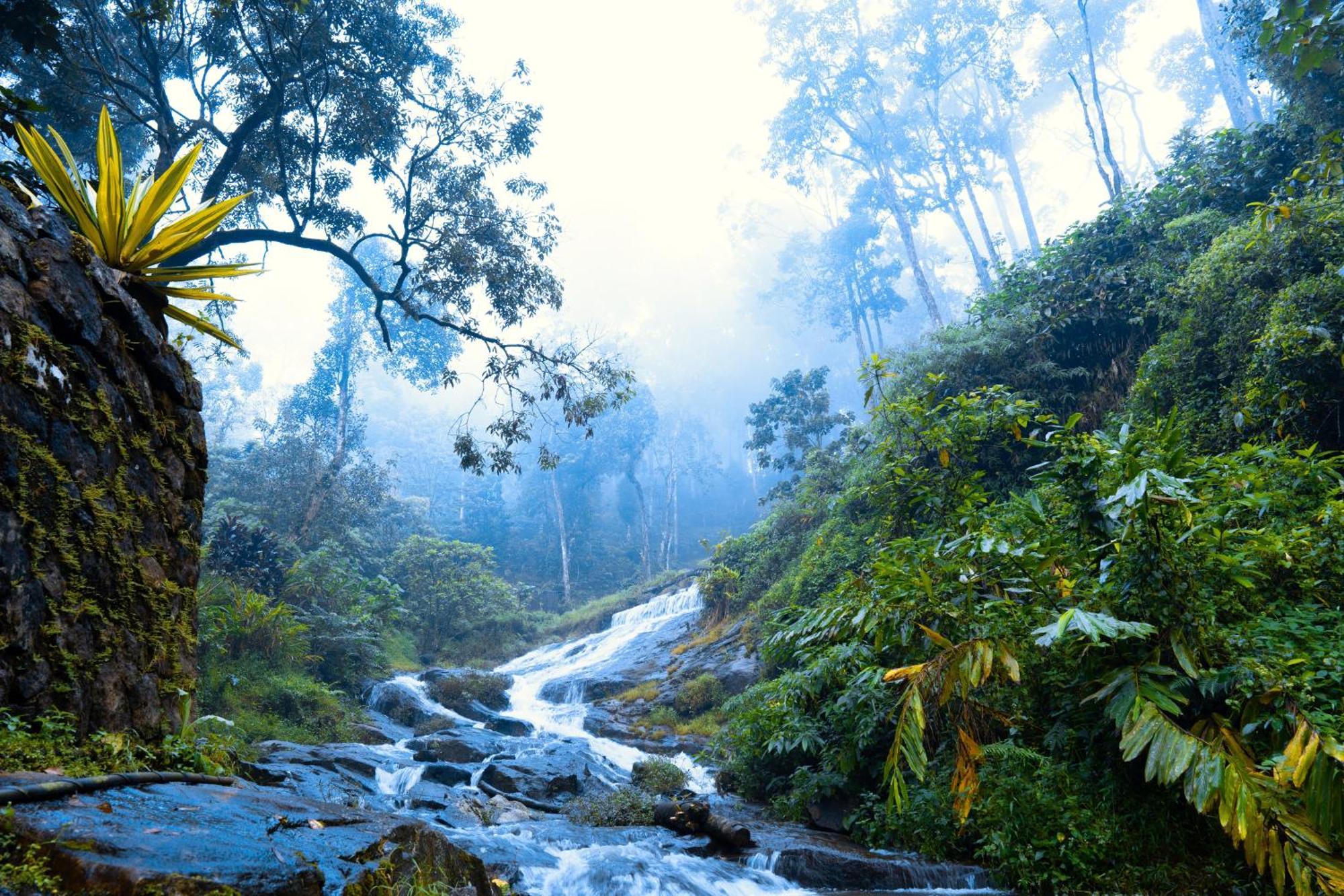 Falling Waters Munnar Kültér fotó