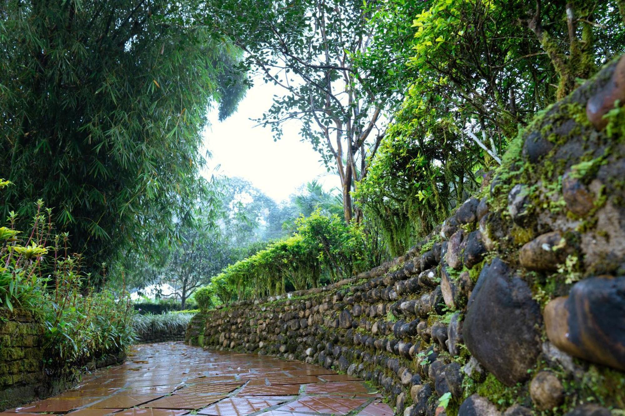 Falling Waters Munnar Kültér fotó