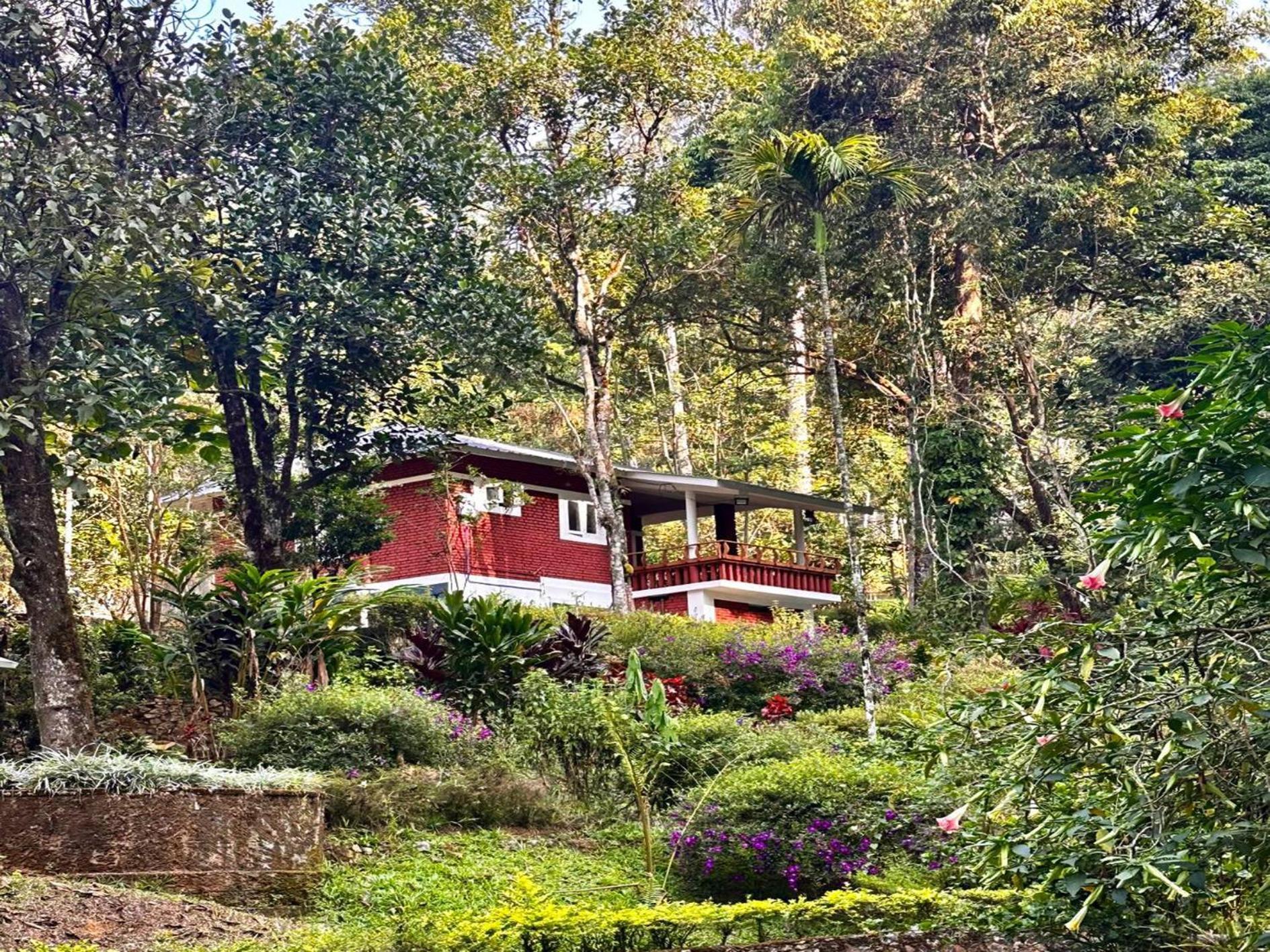 Falling Waters Munnar Kültér fotó